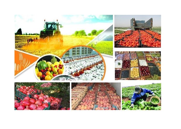 إیران تُسجل نمواً بنسبة 20.5٪ لصادرات المنتجات الغذائیة والزراعیة خلال العام الماضی