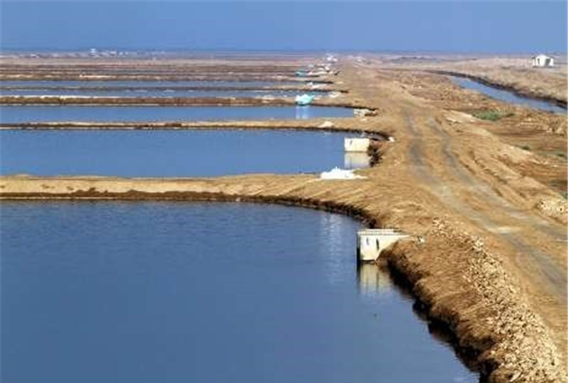پروژه پرورش ماهی - ساحل منطقه طرطوس